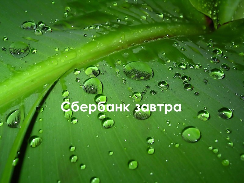 28 28 Сбербанк завтра